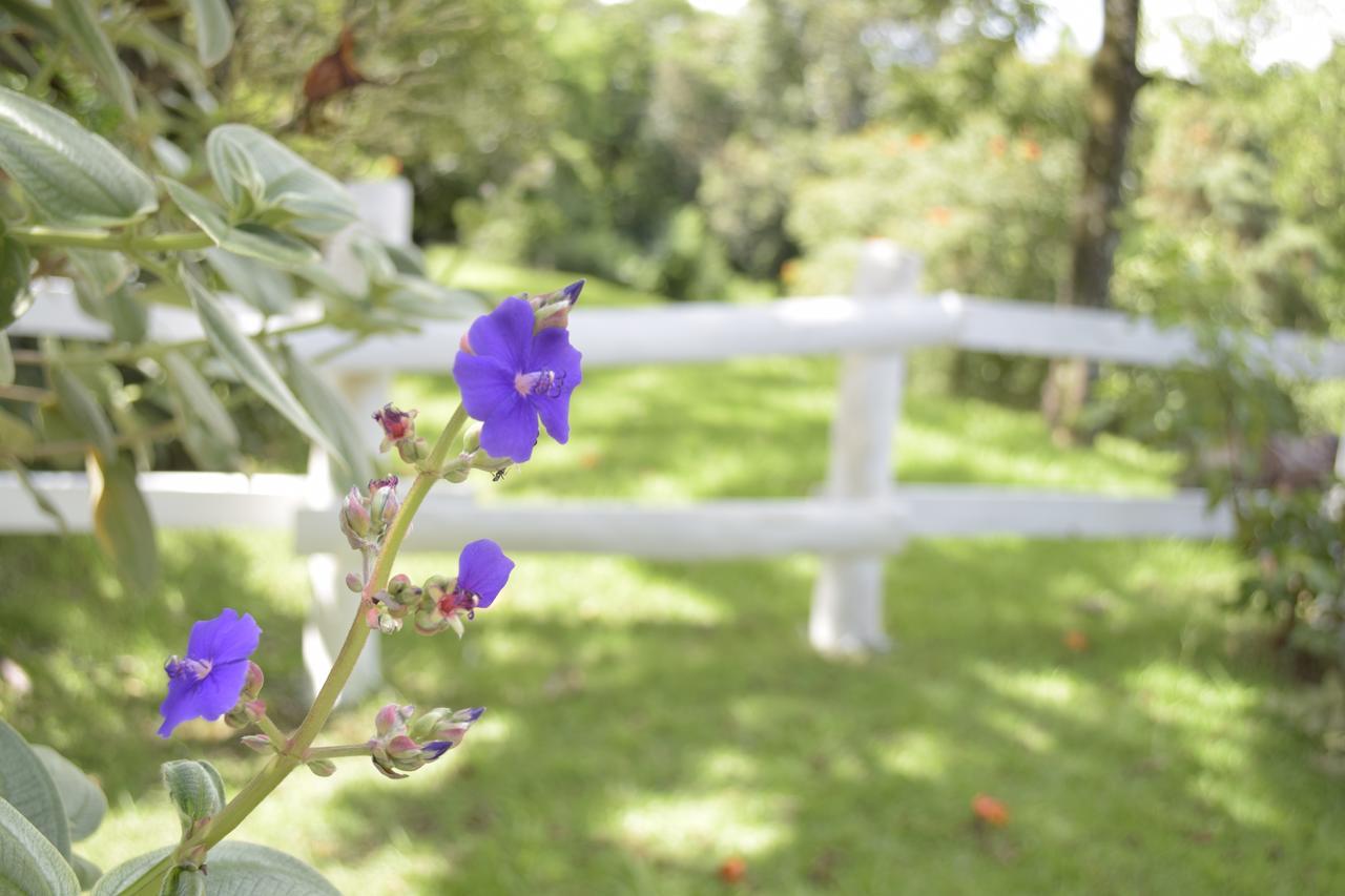 Hotel Fazenda Fonte Colina Verde Sao Pedro  Zewnętrze zdjęcie